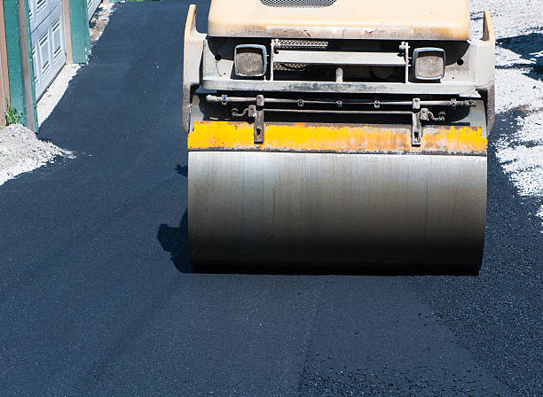 Best Driveway Snow Removal Preparation  in Pine Hill, NJ